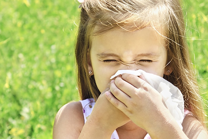 Asthma and Allergy SIG